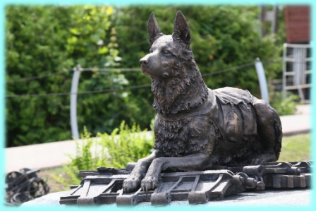 Памятник фронтовой собаке, г. Москва